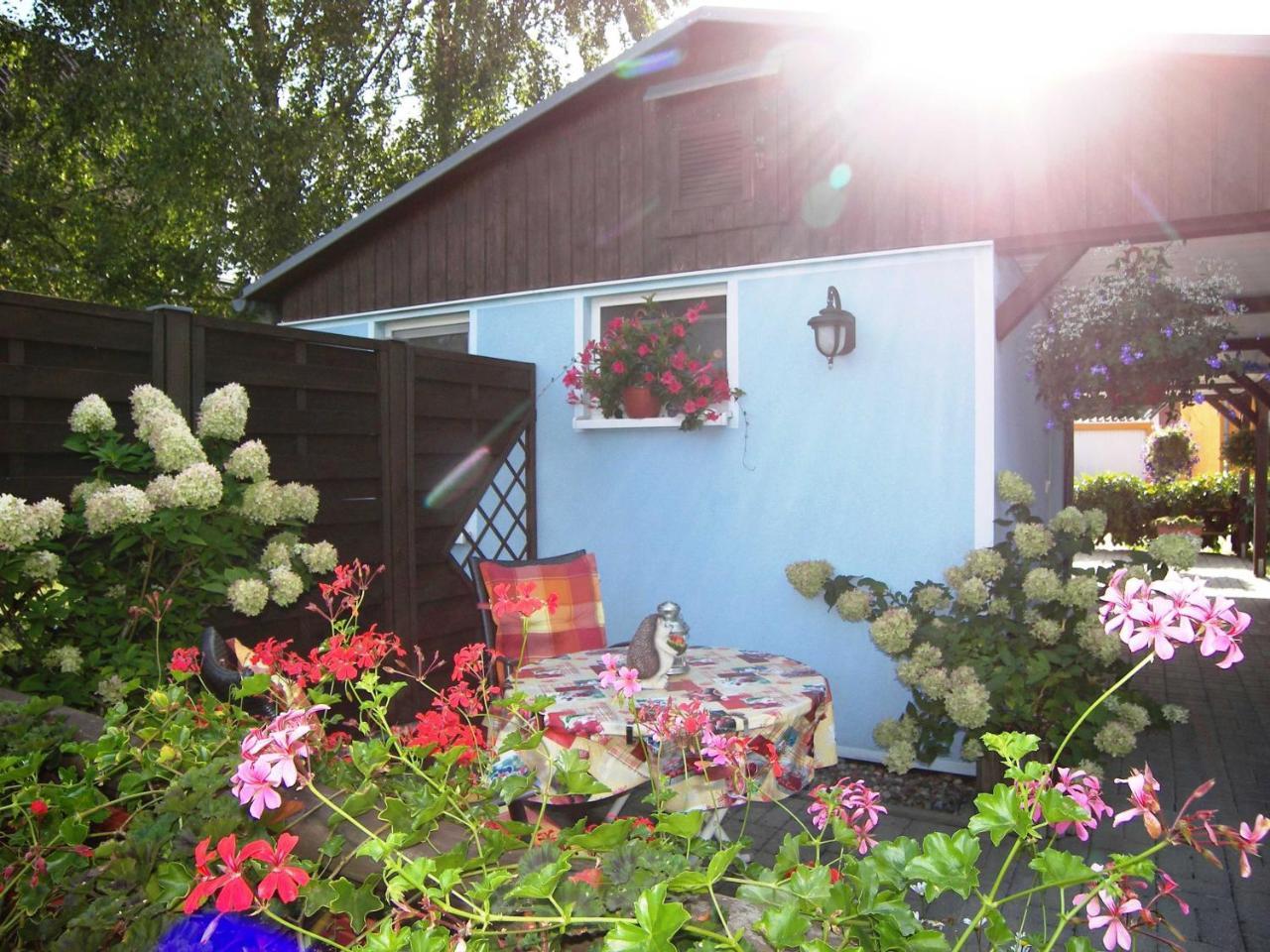 Goetze Petra Zinnowitz Exterior foto